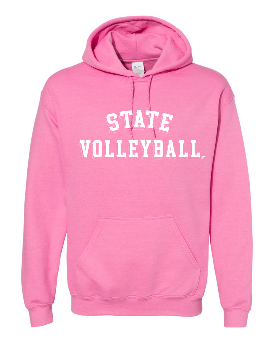 VOLLEYBALL w/ Outline State Design