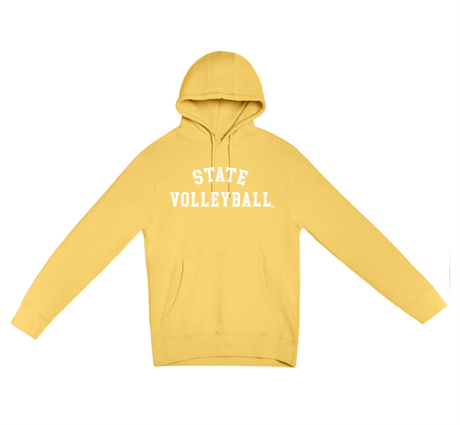 VOLLEYBALL w/ Outline State Design